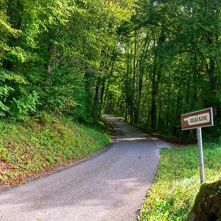 Zidanica Sredi Dolenjskih Gricev - V Gaj Holiday home *