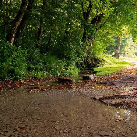 Сasa de vacaciones Zidanica Sredi Dolenjskih Gricev - V Gaj *
