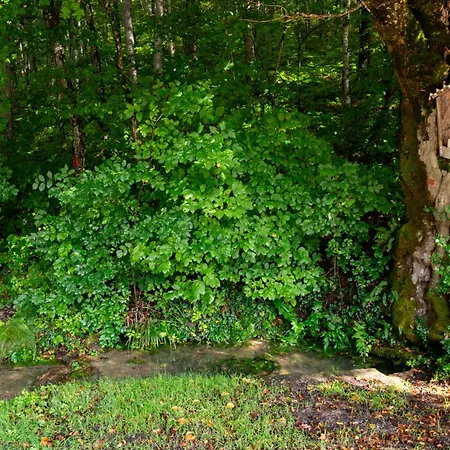 Holiday home Zidanica Sredi Dolenjskih Gricev - V Gaj Trebnje