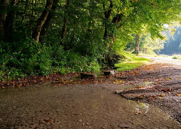Casa vacanze Zidanica Sredi Dolenjskih Gricev - V Gaj *