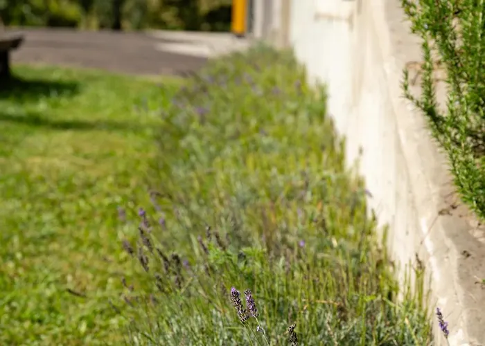 Zidanica Sredi Dolenjskih Gricev - V Gaj
